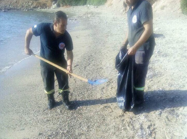 Ελπίδες ότι οι βόρειοι άνεμοι που θα πνέουν σε λίγο θα σταματήσουν την οπτική ρύπανση των παραλιών της Σαρωνίδας! (Φωτός)