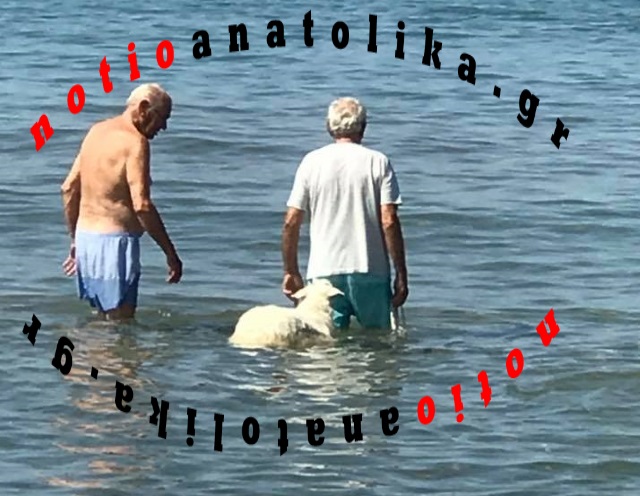 Όταν ο Σωκράτης πάει για μπάνιο στη θάλασσα το... πρόβατό του!