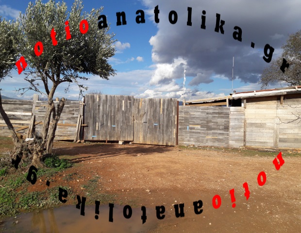 Κορωπί: Φωτογραφίες από τον τόπο δολοφονίας του 71χρονου – Πού επικεντρώνει τις έρευνές της η αστυνομία!
