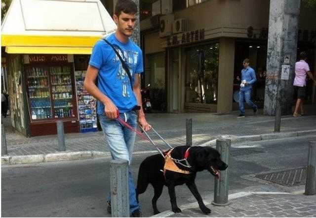 Όσο υπάρχουν... υπάνθρωποι: Έριξαν φόλα σε σκύλο - οδηγό τυφλού στον Μαραθώνα!