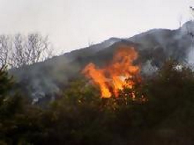 Θετική η εξέλιξη της αντιμετώπισης της πυρκαγιάς στο Άνω Σούλι Μαραθώνα!