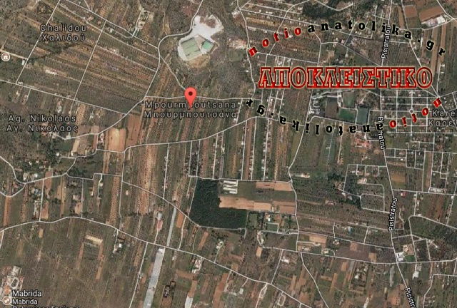 17 αιγοπρόβατα έκαναν... φτερά από περιφραγμένο χώρο στη Μπουρμπουτσάνα Κορωπίου!