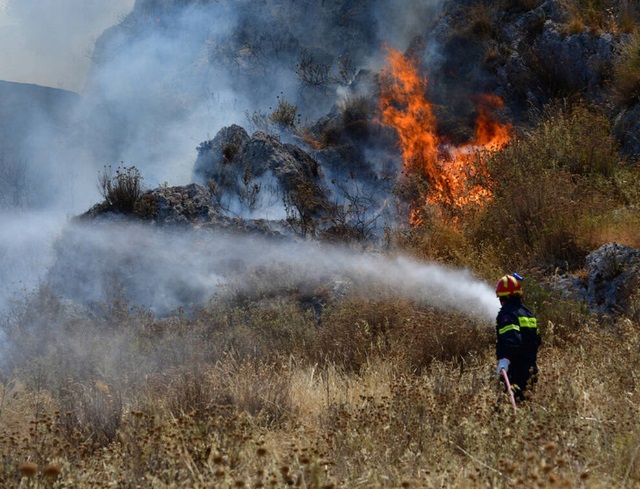 Σε εξέλιξη πυρκαγιά πίσω από το γήπεδο του Μαρκοπούλου!
