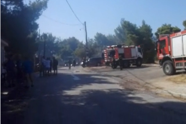 Ραφήνα: Τέλος καλό, όλα καλά με την πυρκαγιά – Άψογη η κινητοποίηση του κρατικού μηχανισμού!