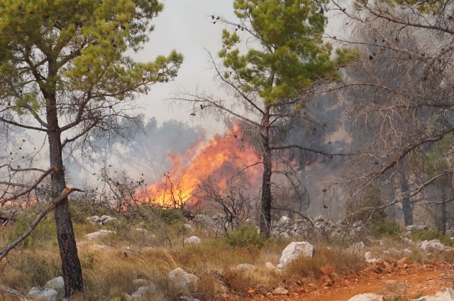 Ραγδαία αύξηση του κινδύνου πυρκαγιών σε δασικές περιοχές χωρών της Μεσογείου τις ερχόμενες εβδομάδες!