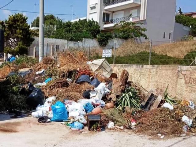 Δήμος Μαρκοπούλου: Σαφής απαγόρευση για να σταματήσουν οι πολίτες να πετάνε κλαδιά, μπάζα και ογκώδη αντικείμενα! 
