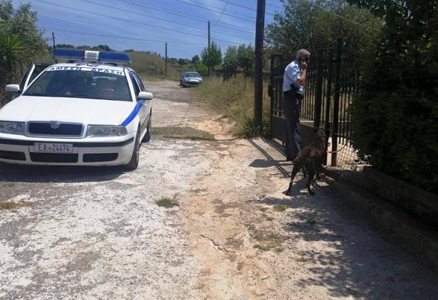 Γέρακας: Σφαγή από 39χρονο σε κατάσταση αμόκ! (Σκληρές Φωτος)