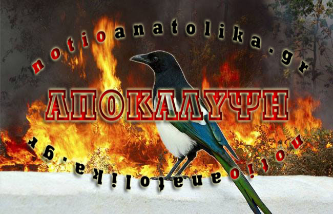 Καρακάξες: Αυτοί οι… αδίστακτοι εμπρηστές! 